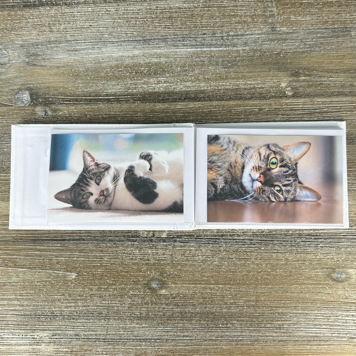 Grand Cat photo album laying open on a table.