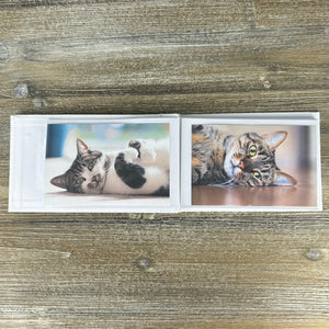 3 of 4:Grand Cat photo album laying open on a table.