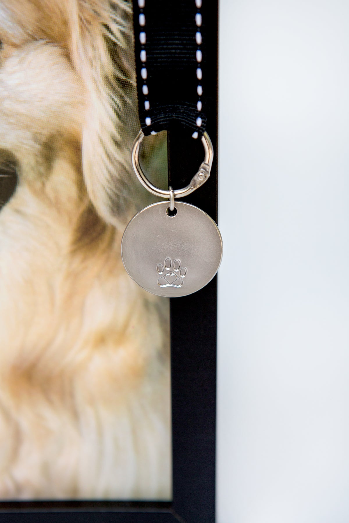 Close up of the metal tag with embossed pawprint and black grosgrain ribbon with white stitching.