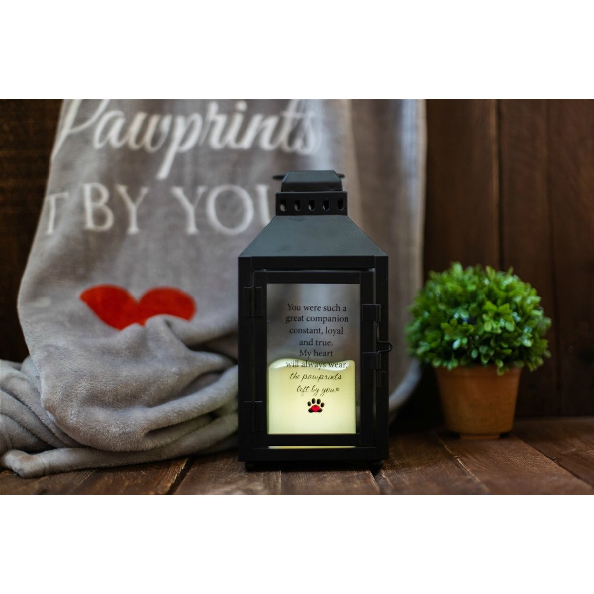 Pet memorial lantern with candle lit.