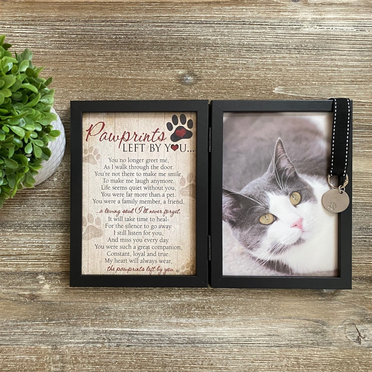 Pawprints Pet Loss Memorial Frame: Pawprints Left by You Cat