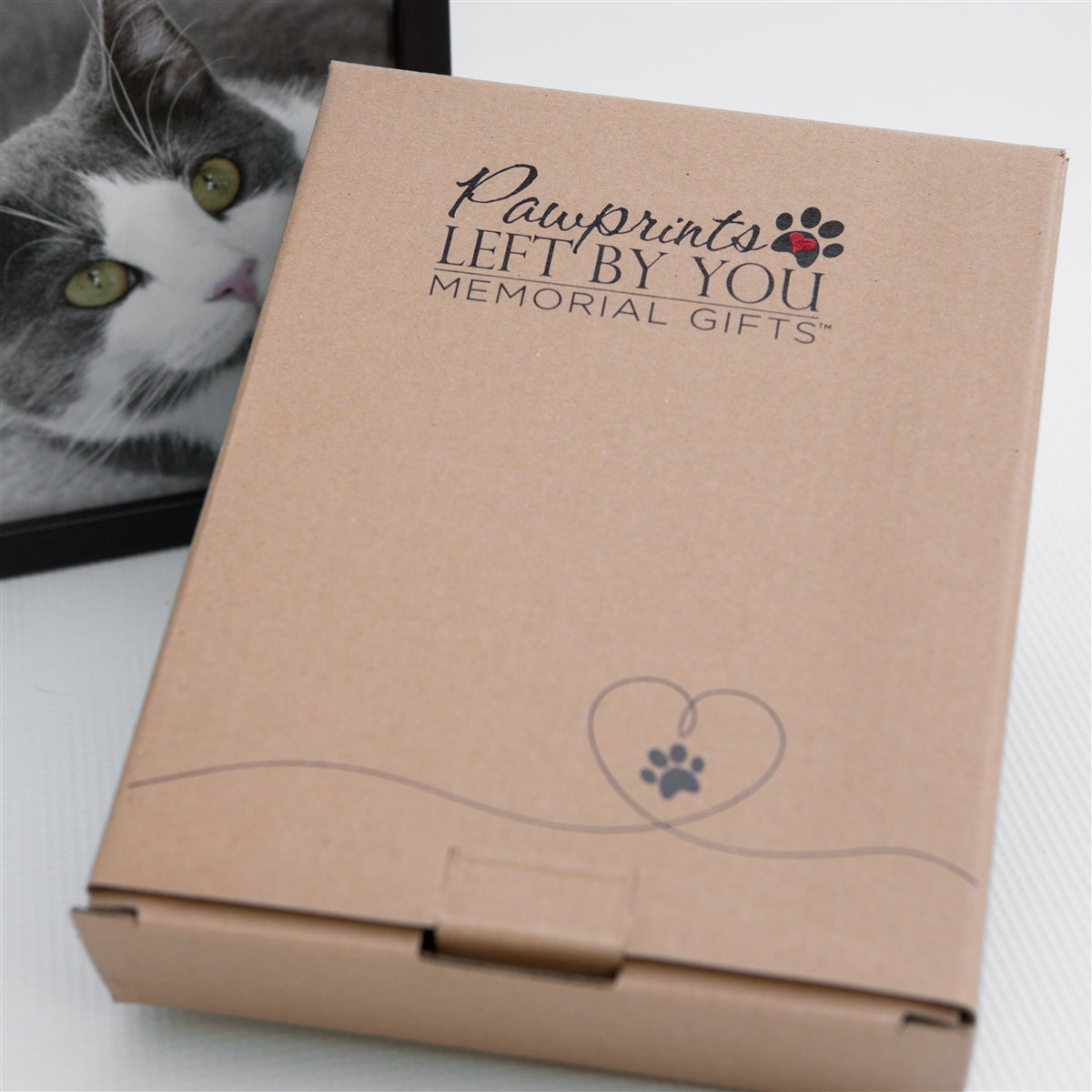 Pawprints Left By You box.