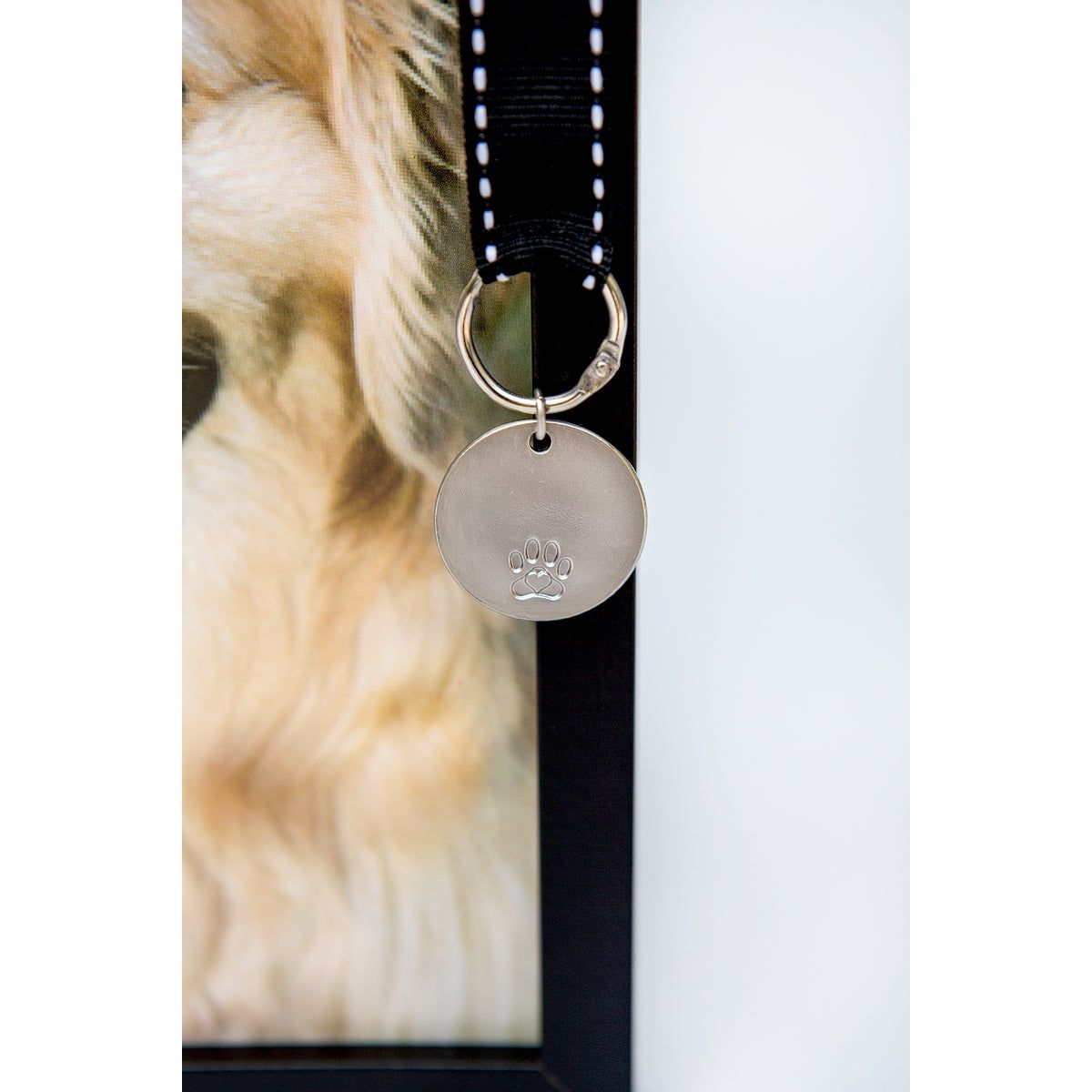 Close up of the metal tag with embossed pawprint and black grosgrain ribbon with white stitching.