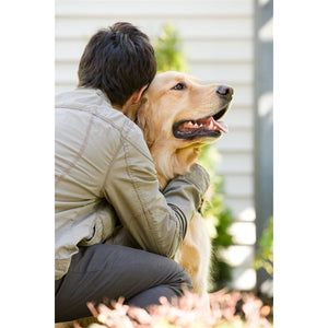 5 of 6:A man and his dog.