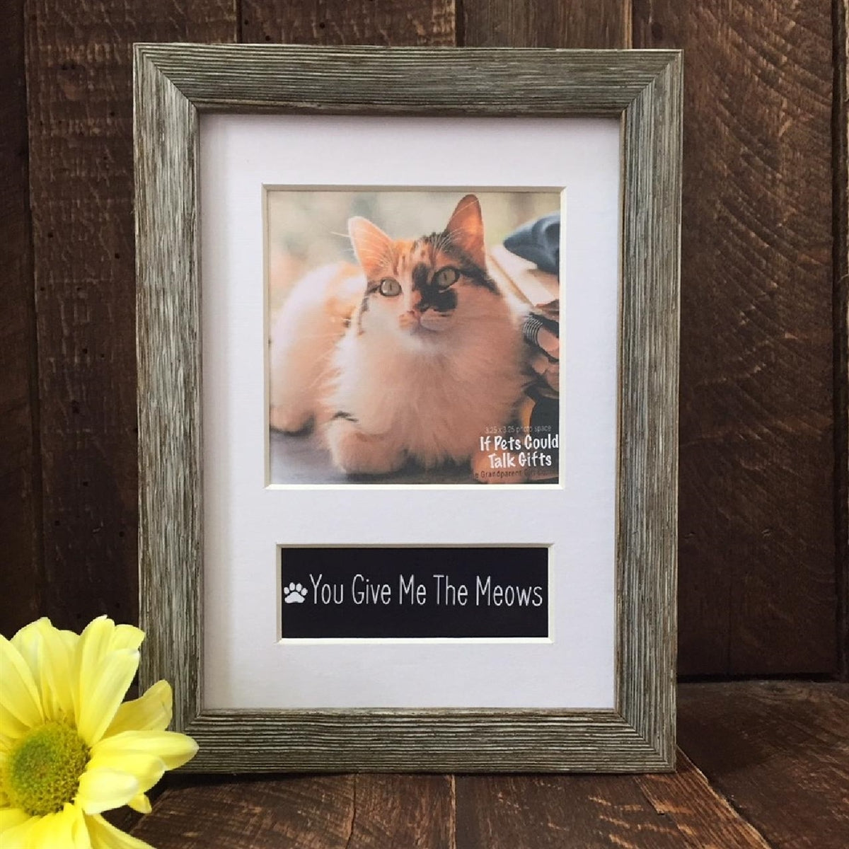 Pet photo frame with a white mat.
