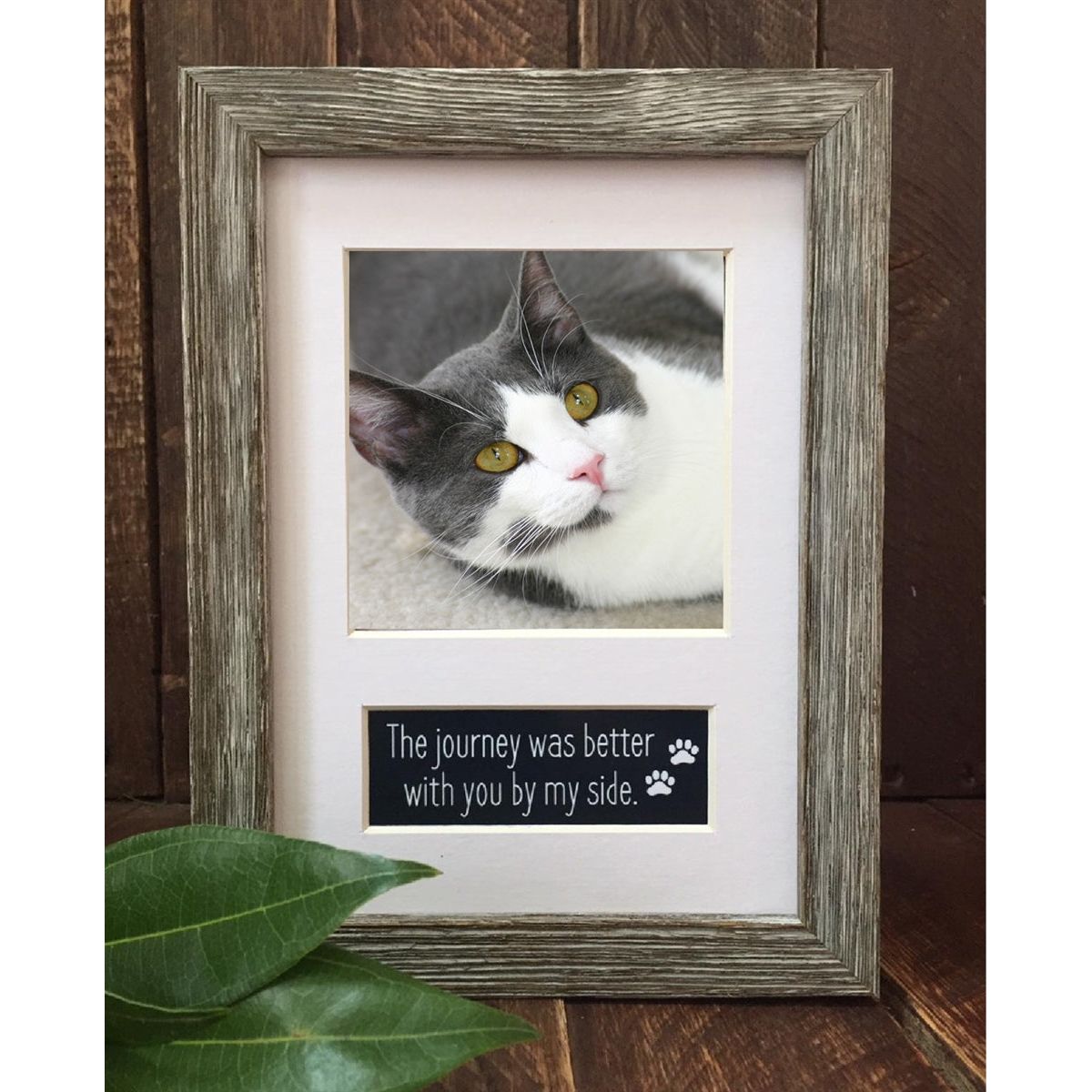 Pet memorial frame for cat or dog.
