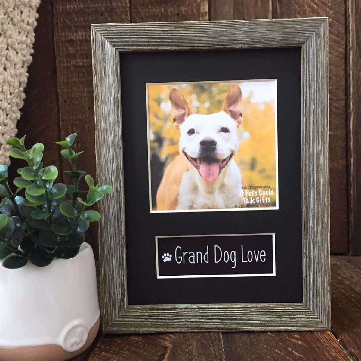 Pet Lover Frames: Grand Dog Love