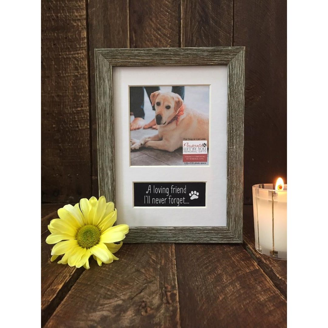 Pet memorial photo frame with a white mat
