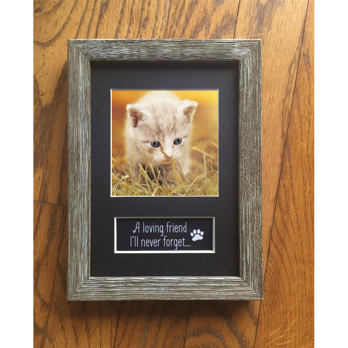 Pet memorial frame with photo of a kitten