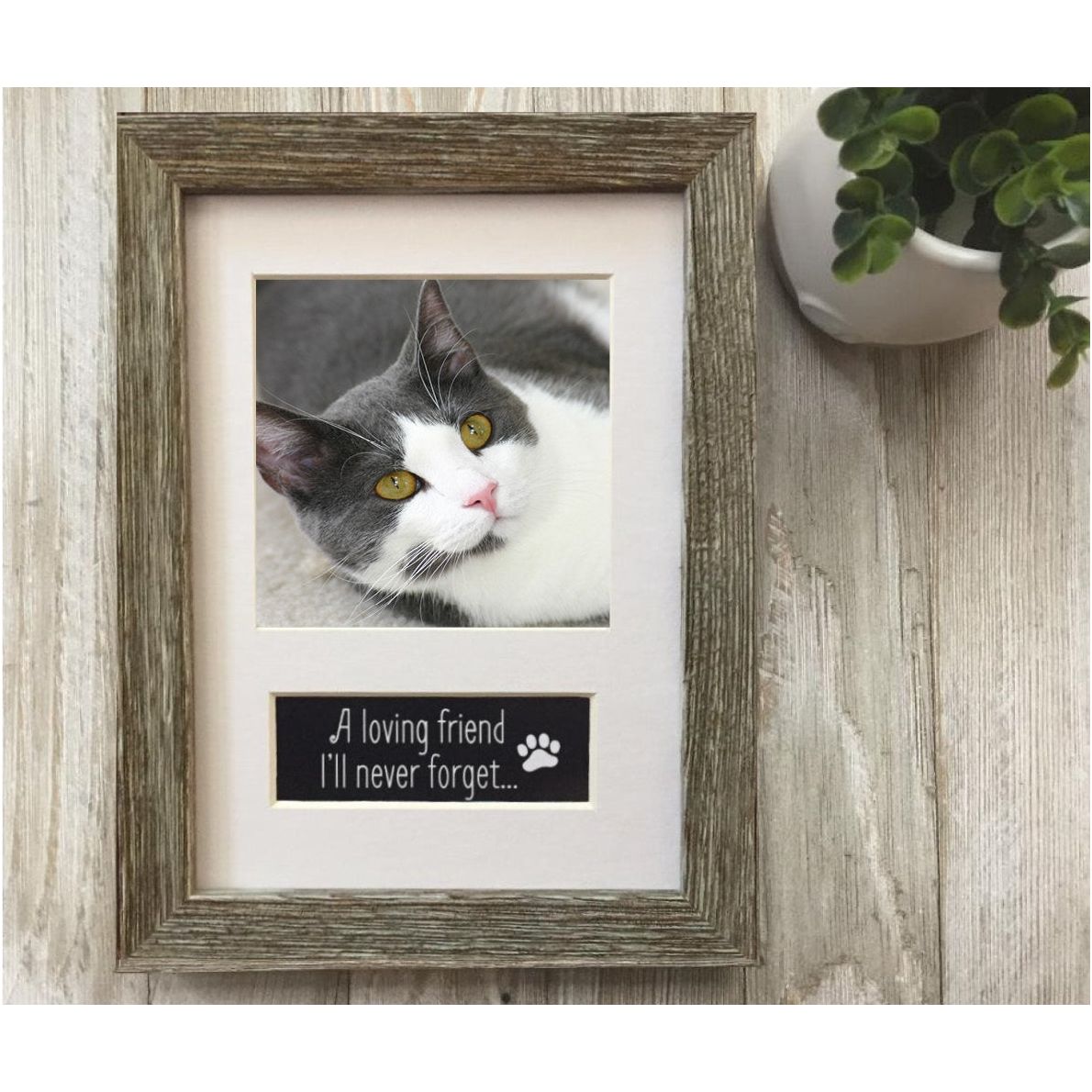 Pet memorial frame with photo of a cat.