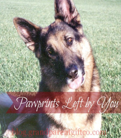 Kip, German Shepherd with the text "Pawprints Left By You" and 