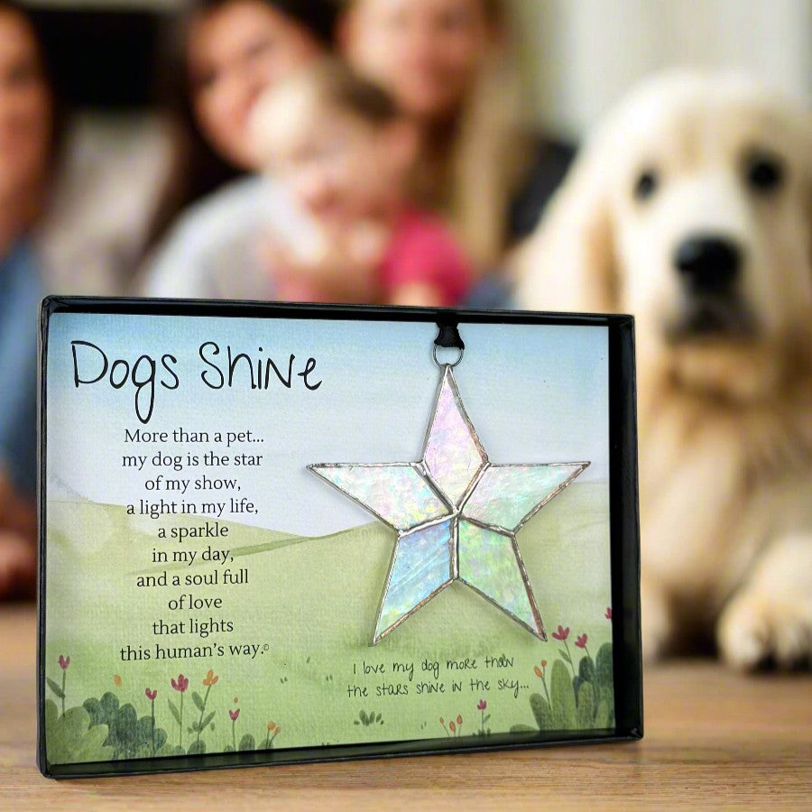 Dog&#39;s Shine, dog lover&#39;s gift, on a table in front of a family and their dog.