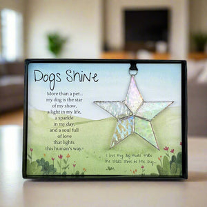 2 of 5:Dogs Shine gift on a table in a living room.