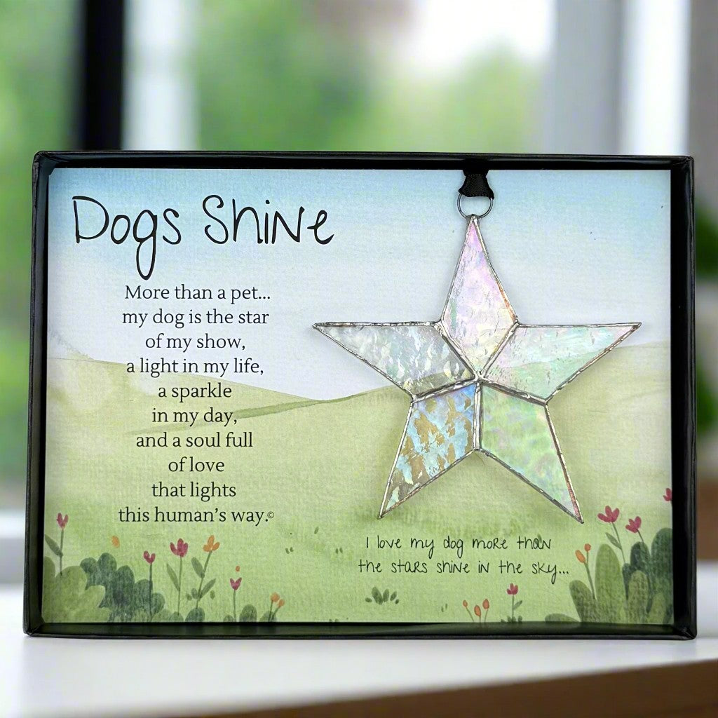 "Dogs Shine" sentiment with clear iridescent star packaged in a black box with a clear lid.