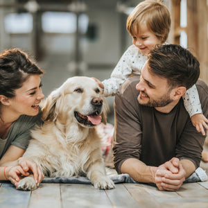 7 of 7:Family with a child and a dog sitting on a wooden floor.