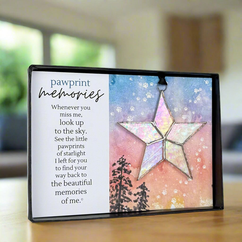 Angled view of the Pawprint Memories artwork and star ornament.