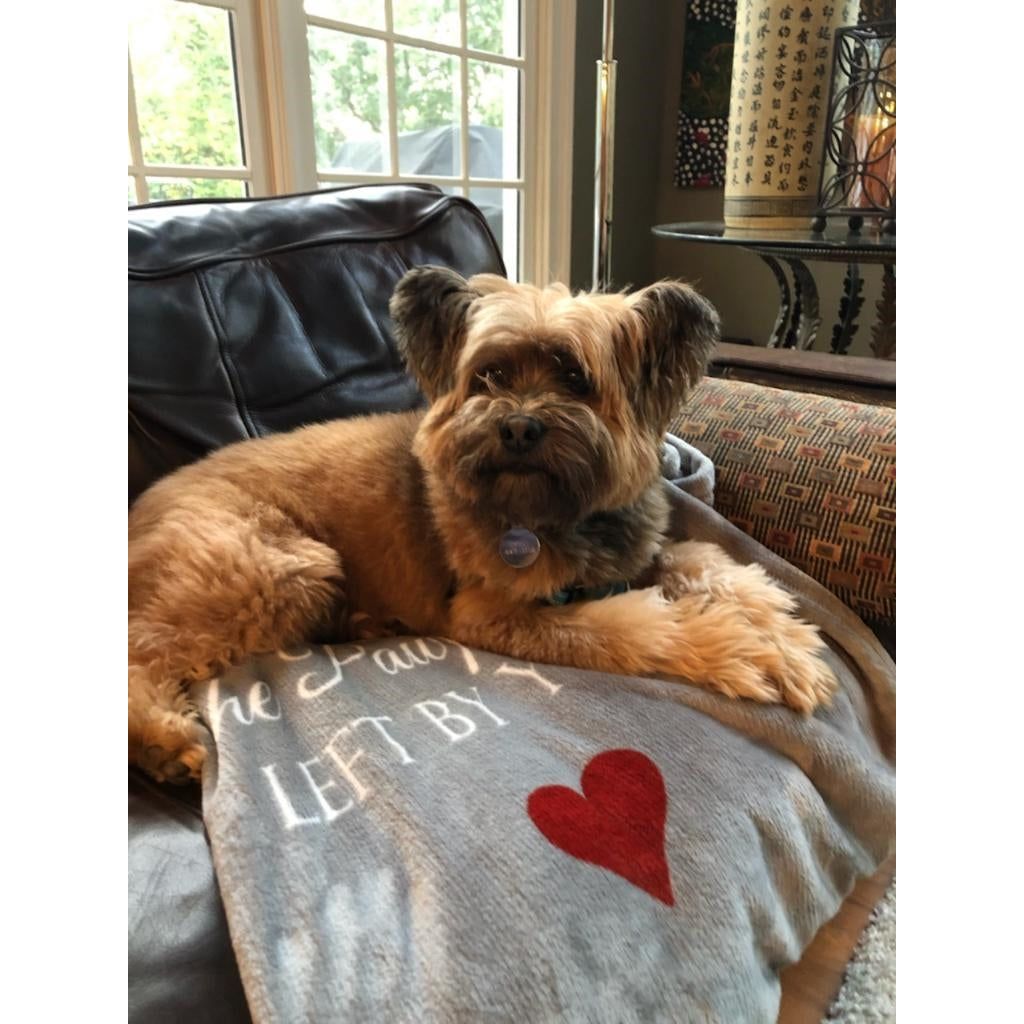 A dog resting on the Pawprints blanket.