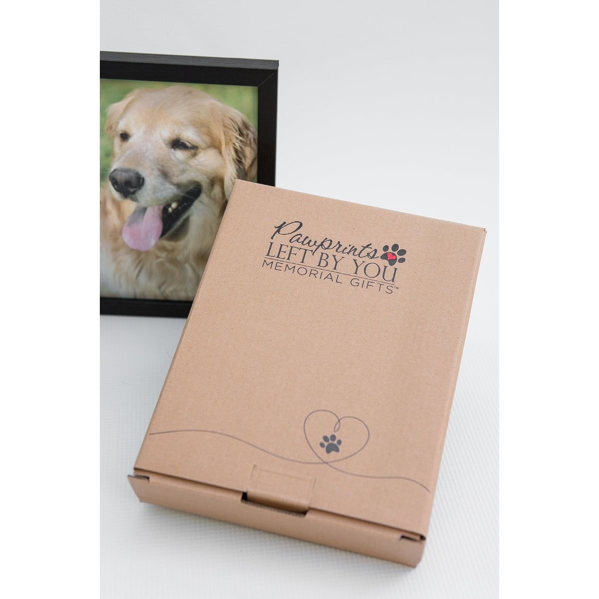 Pawprints Pet Loss Memorial Frame: Pawprints Left by You with Vial