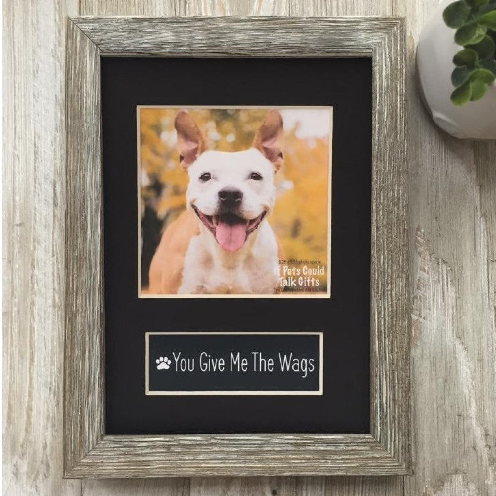 Pet Lover Frames: You Give me the Wags