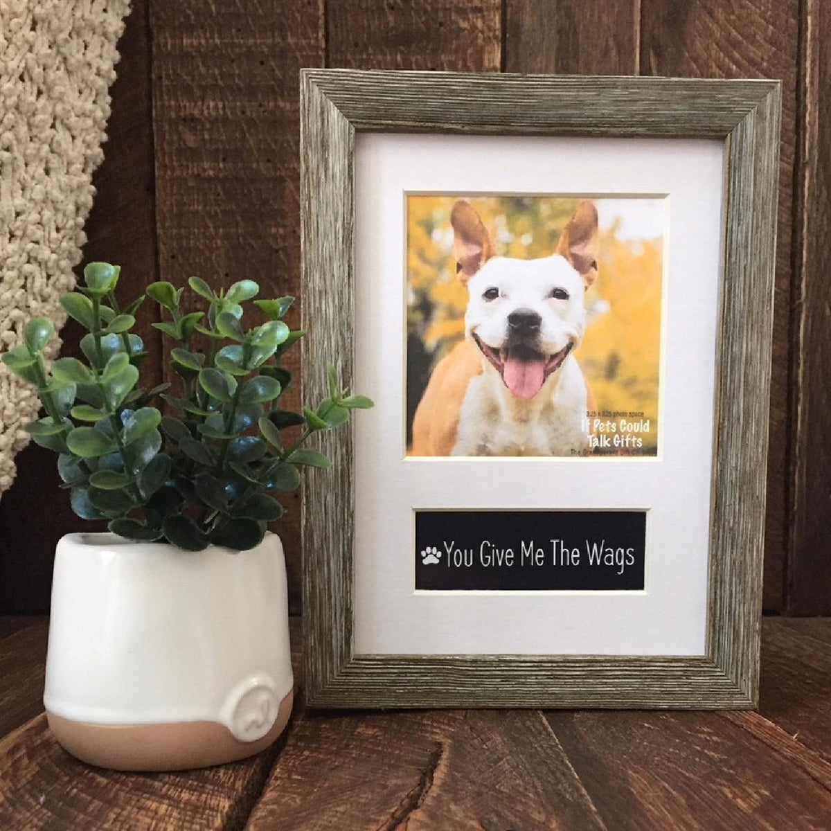 Pet photo frame with a white mat.