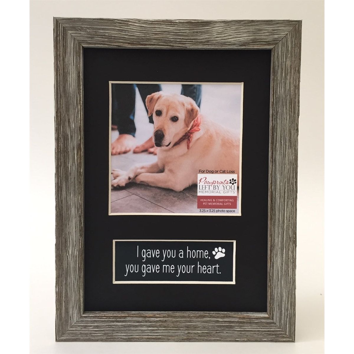 Pet Lover Frames: Home and Heart