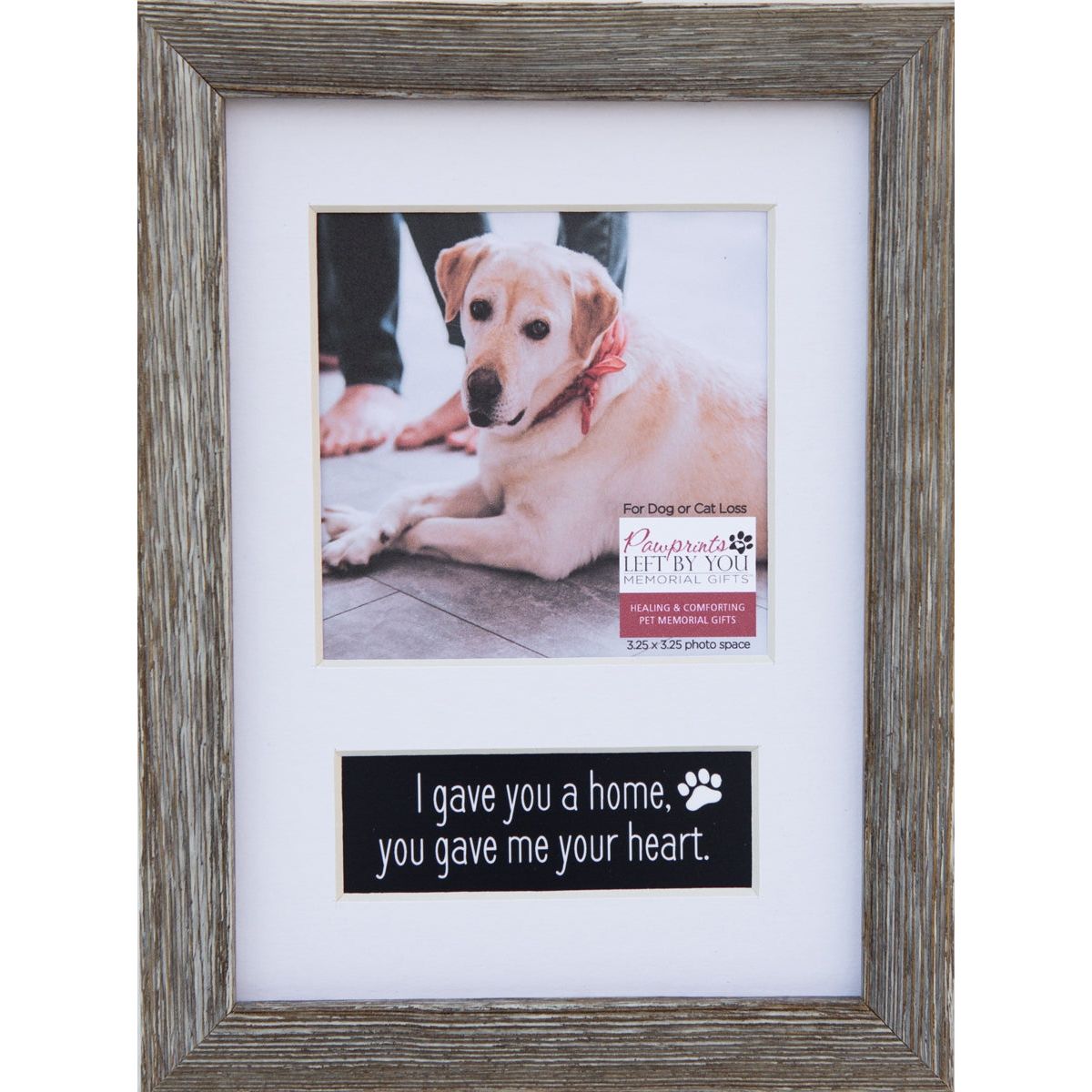 Pet photo frame with a white mat.