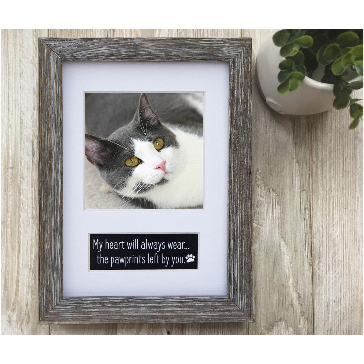 Pet memorial photo frame with a white mat.