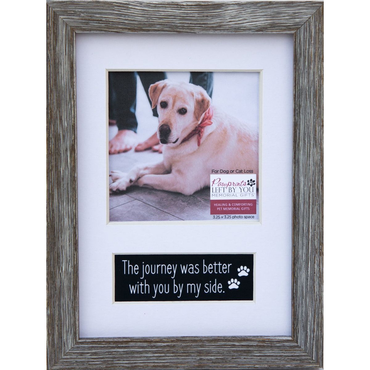 Pet memorial frame with white mat.
