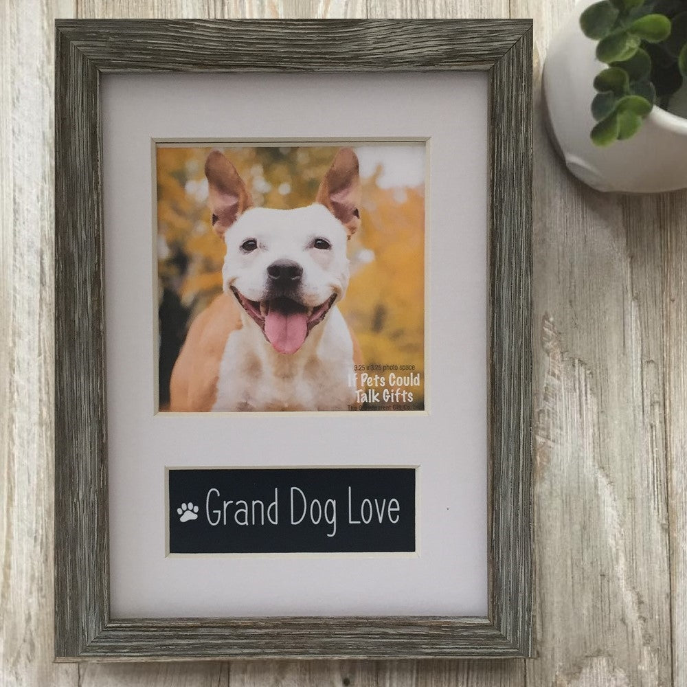 Pet photo frame with a white mat.
