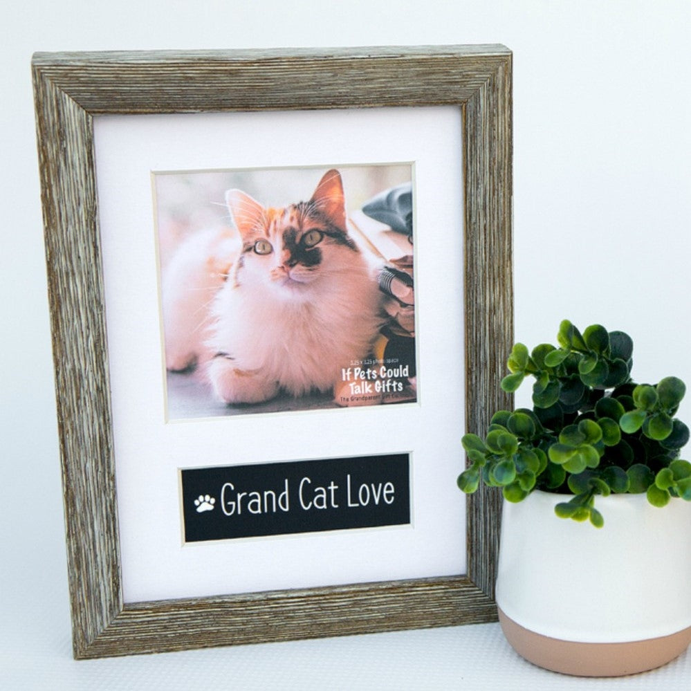 Pet Lover Frames: Grand Cat Love